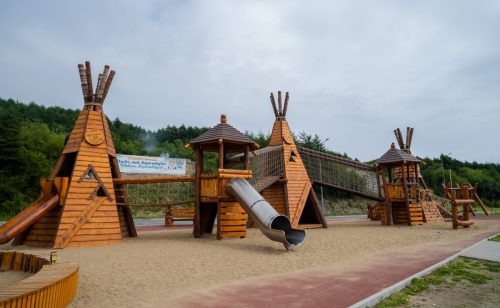 Уникальные игровые площадки для детей в парк и на дачу
